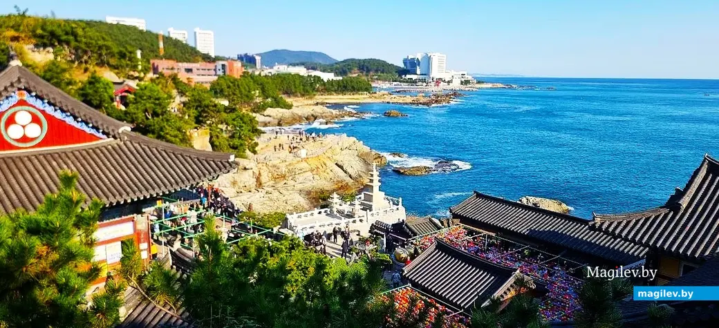 Ноябрь 2025 года, круиз вокруг Японии.