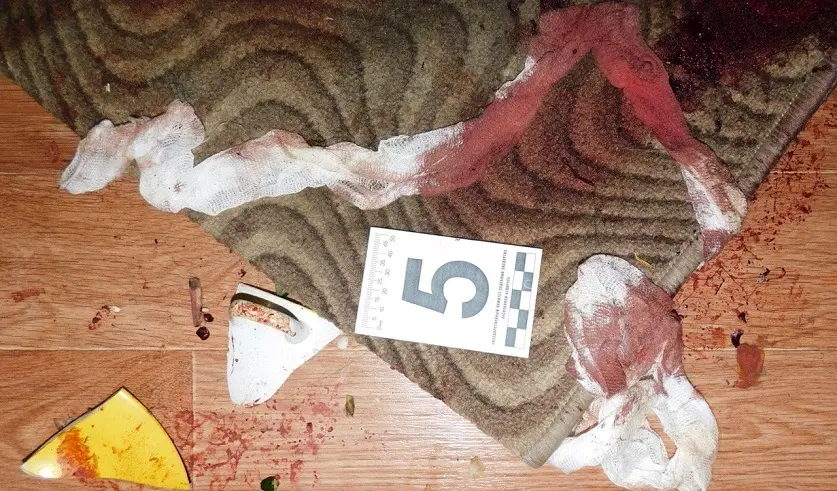 Фото: УГКСЭ по Могилевской области