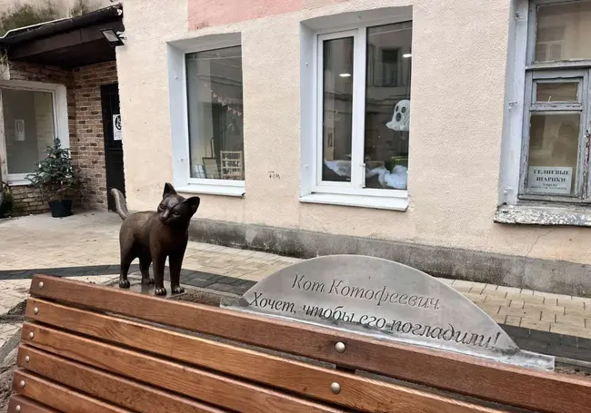 Котики могилевского дворика в Пожарном переулке: «Мяу, мы с вами!»