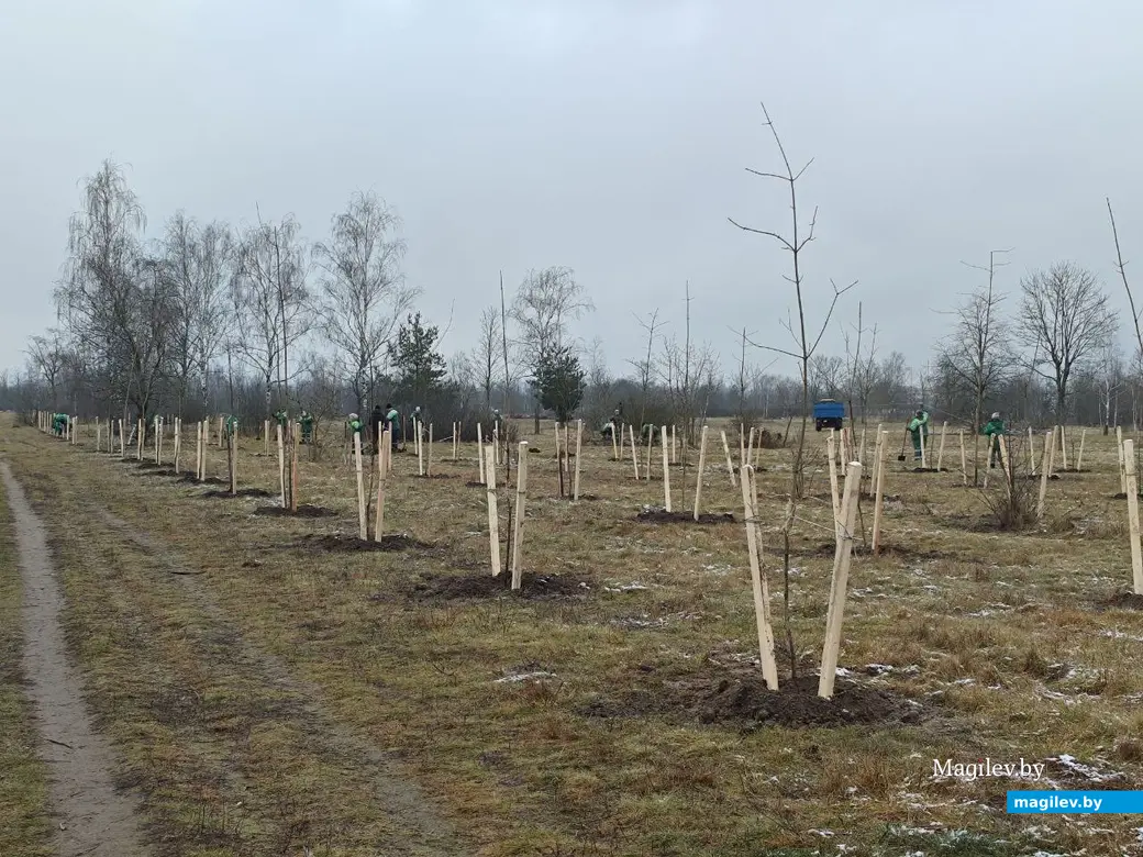 2 декабря 2025 года. Парк возле Святого озера.