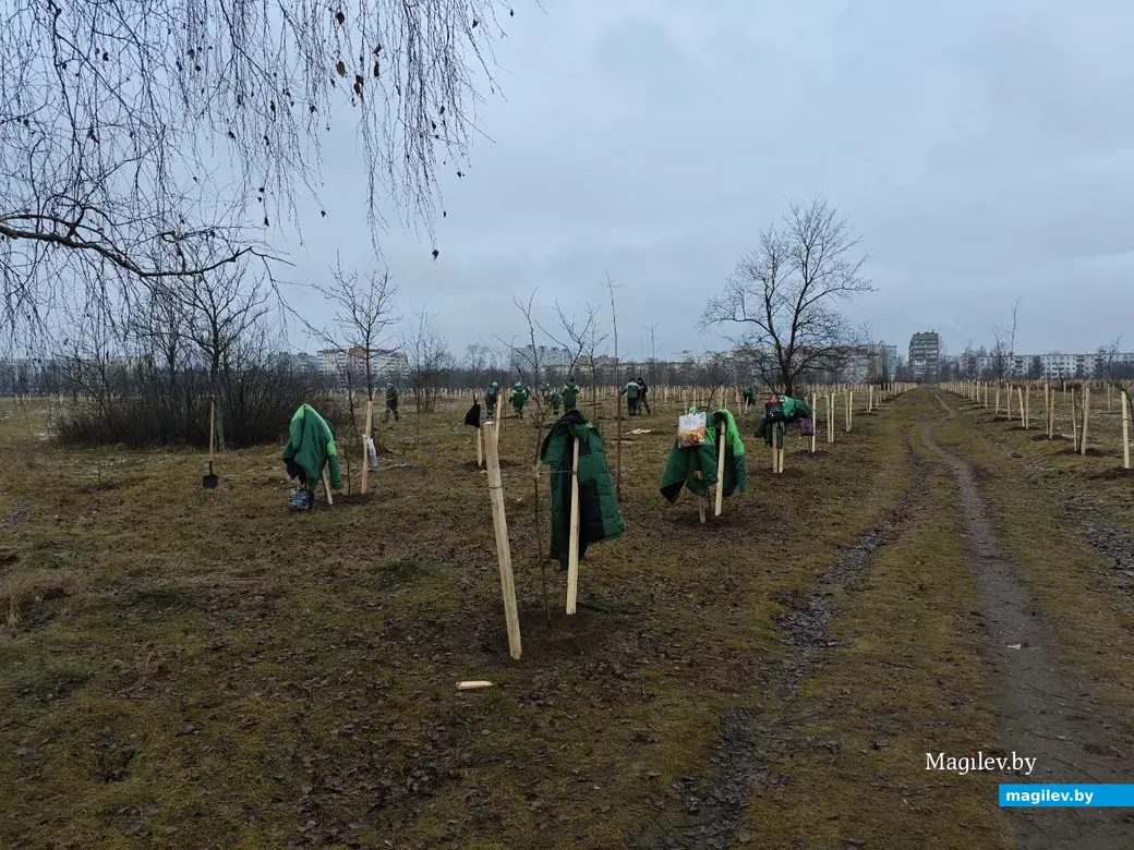 2 декабря 2025 года. Парк возле Святого озера.
