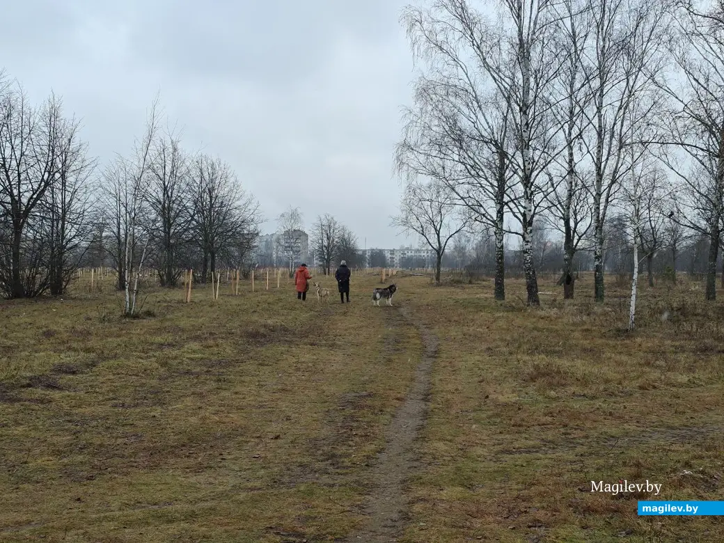 2 декабря 2025 года. Парк возле Святого озера.
