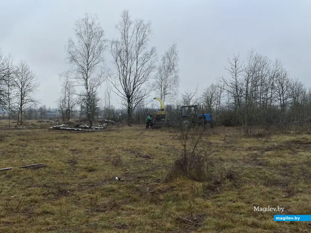 2 декабря 2025 года. Парк возле Святого озера.