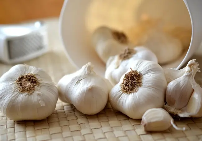 Как сохранить чеснок до следующего урожая?