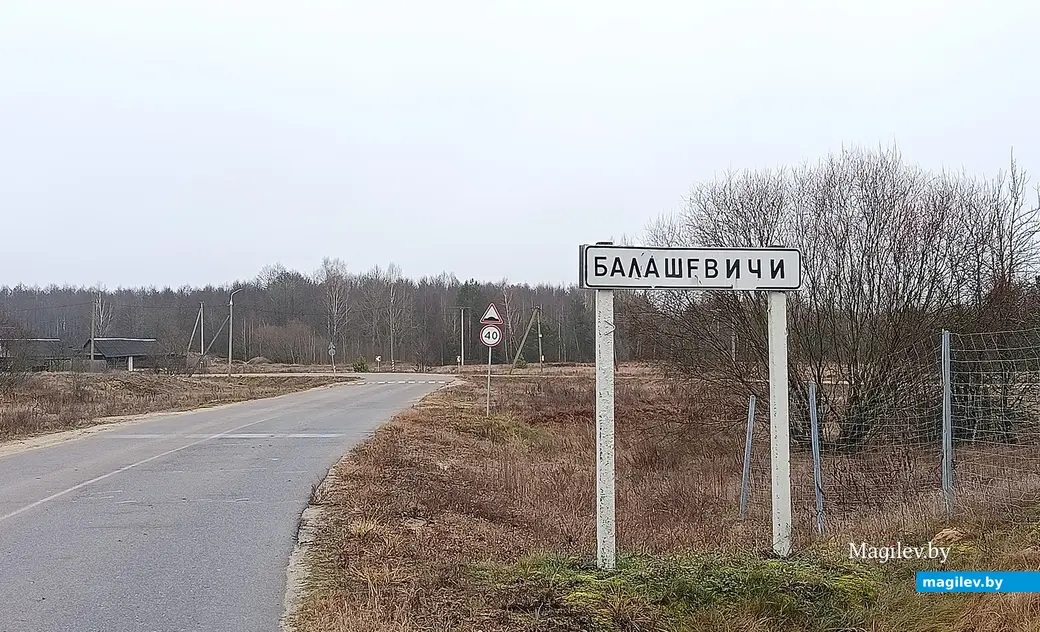Снежань 2025 г. Указальны знак каля вёскі Балашэвічы Глускага раёна.