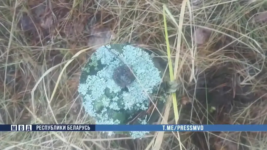 Скан с видео МВД РБ