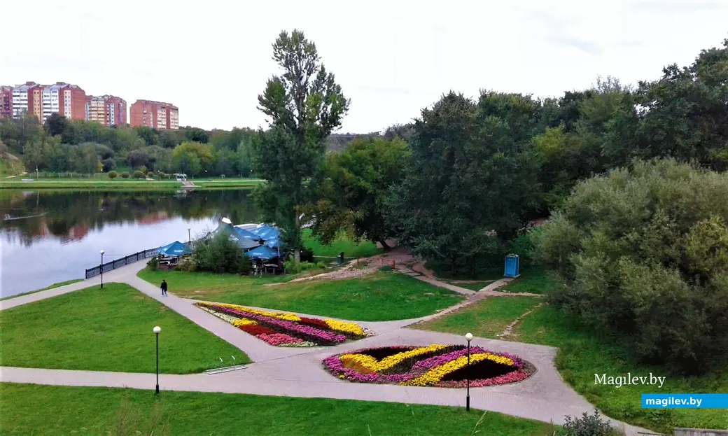 2015 год, Могилев. Дубровенка. В центре – дерево Джона Леннона.