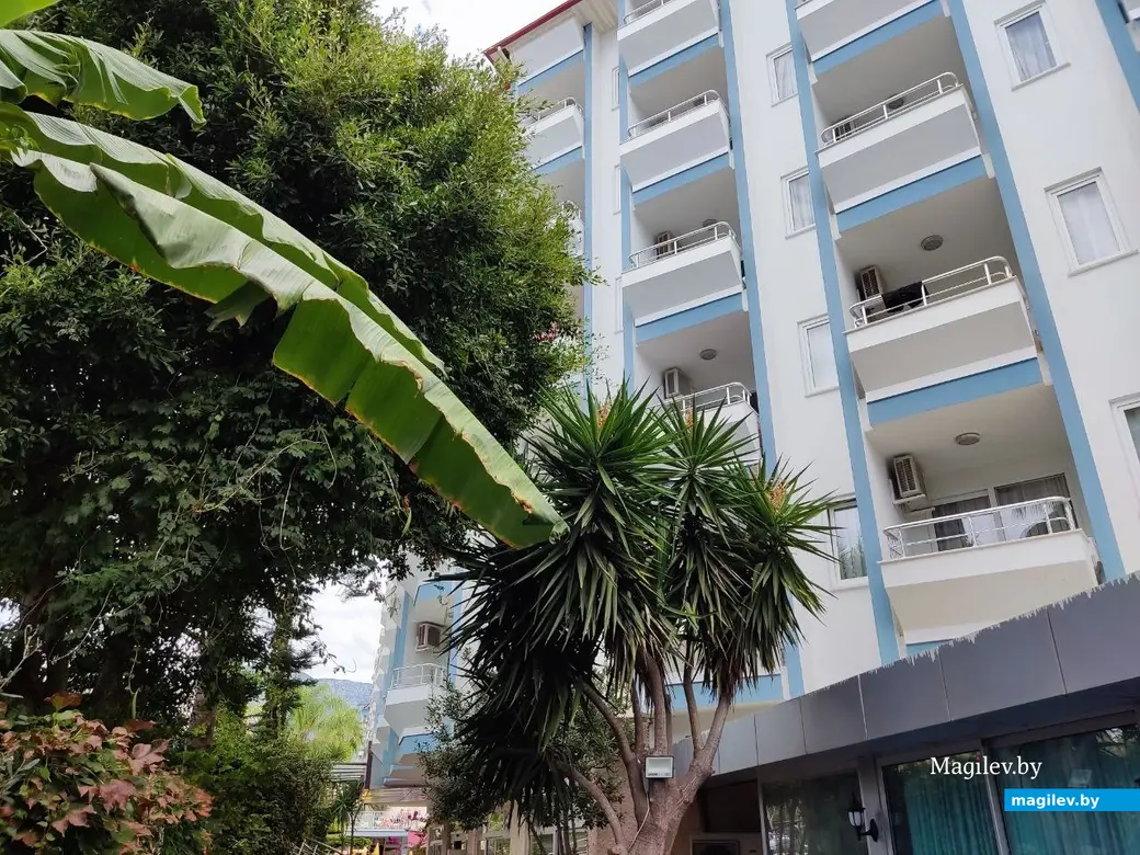 Октябрь 2025 г. Махмурлар, Турция