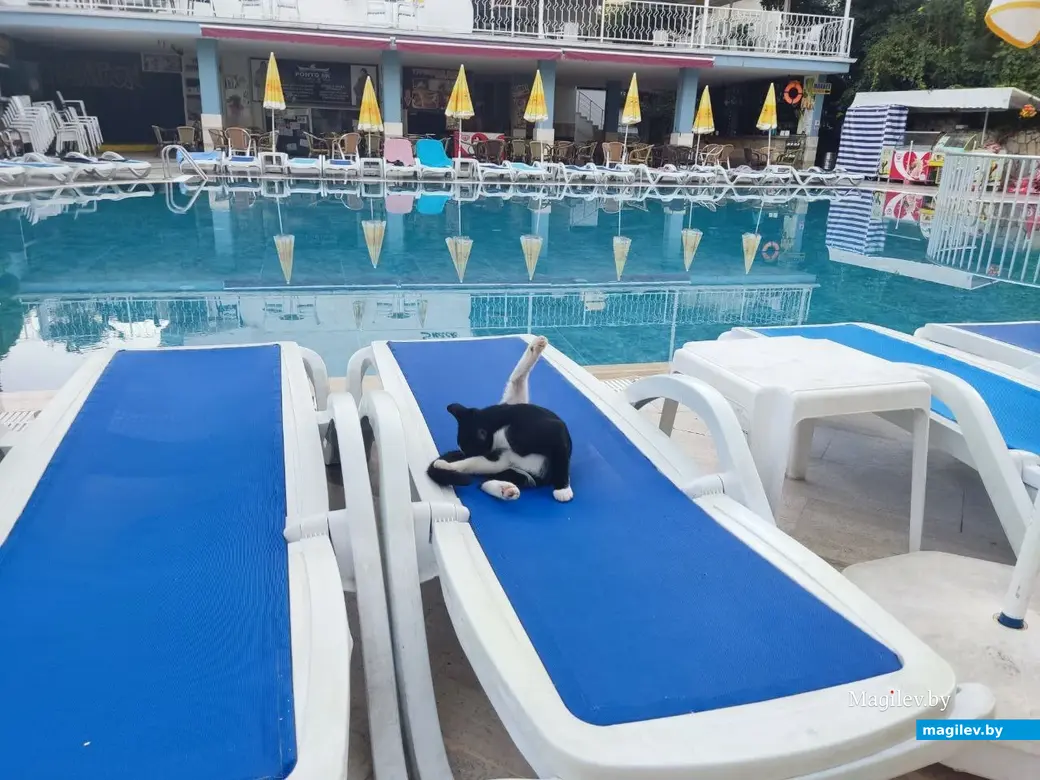 Октябрь 2025 г. Махмурлар, Турция