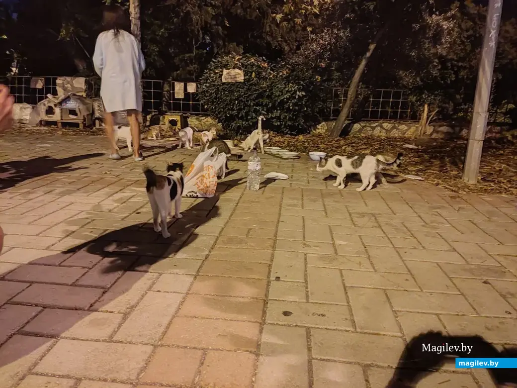 Октябрь 2025 г. Махмурлар, Турция