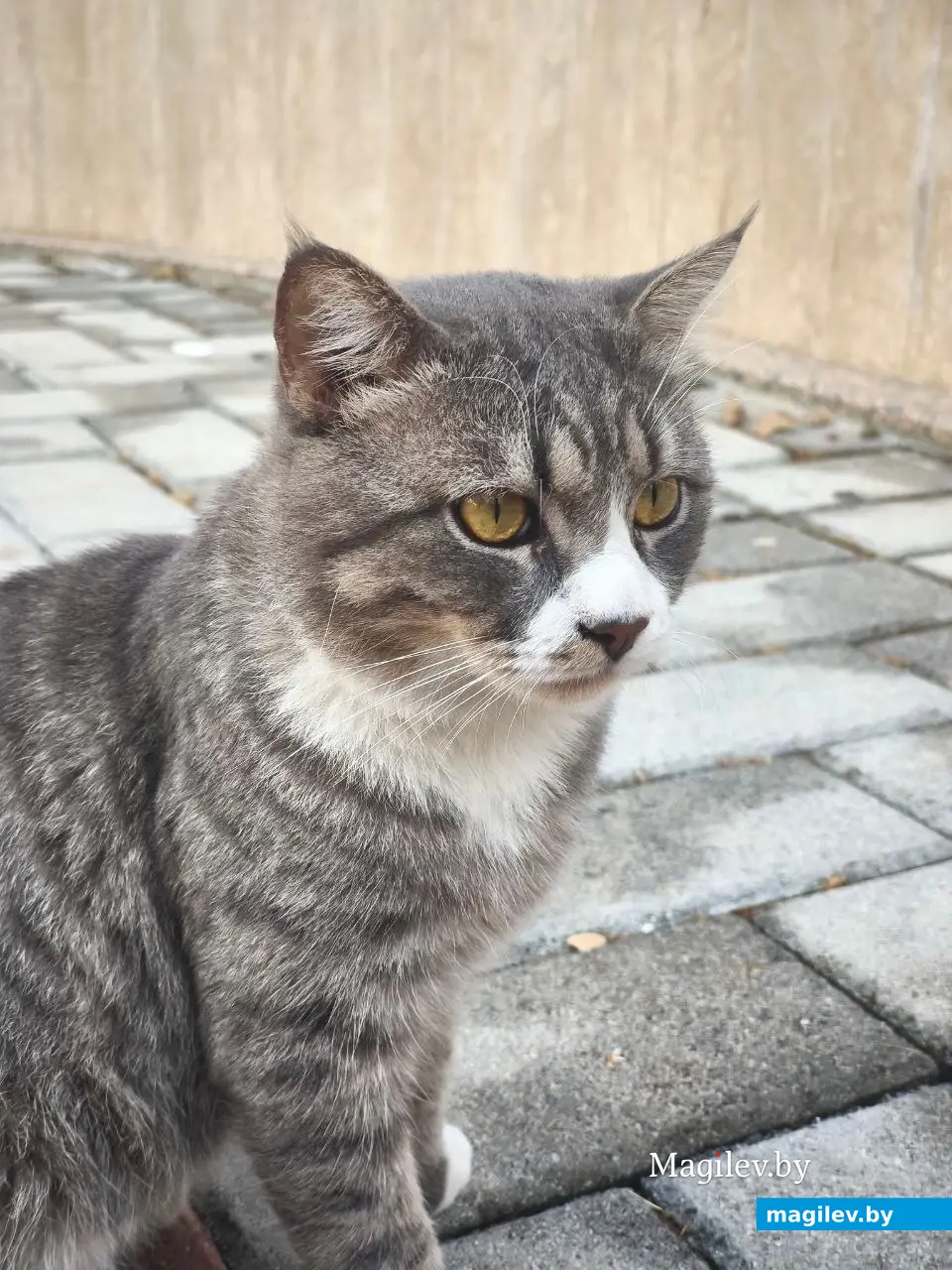 Октябрь 2025 г. Махмурлар, Турция