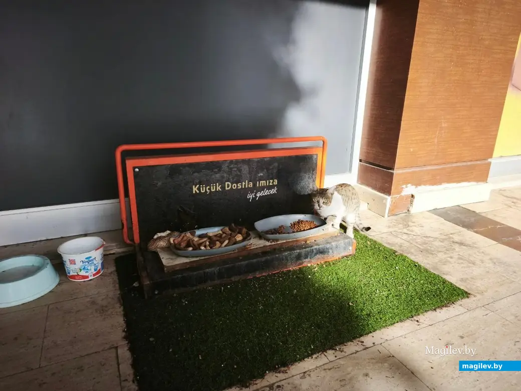 Октябрь 2025 г. Махмурлар, Турция