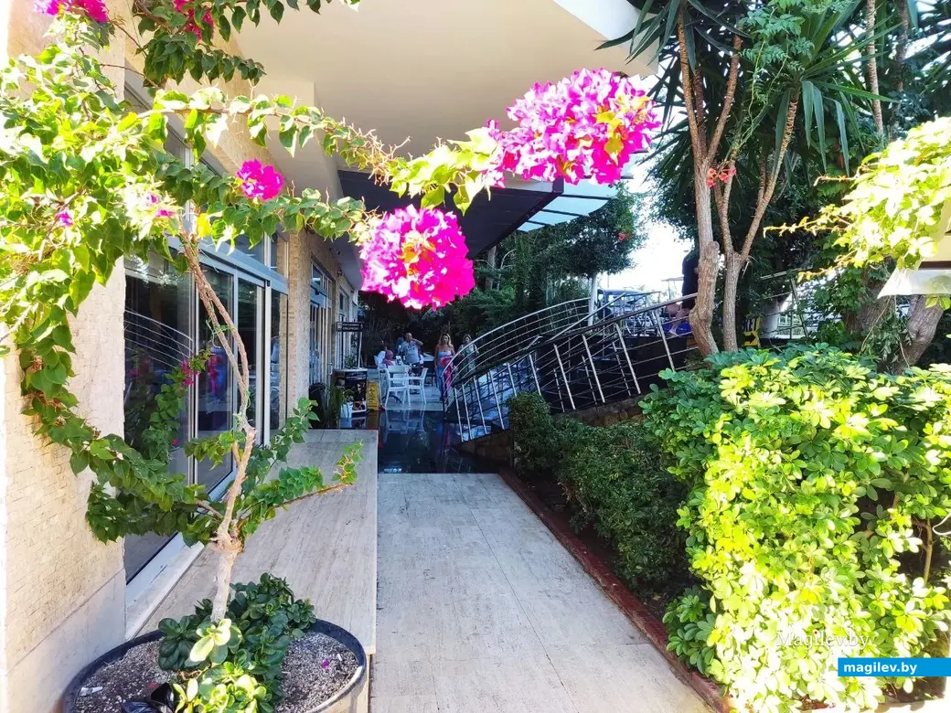 Октябрь 2025 г. Махмурлар, Турция