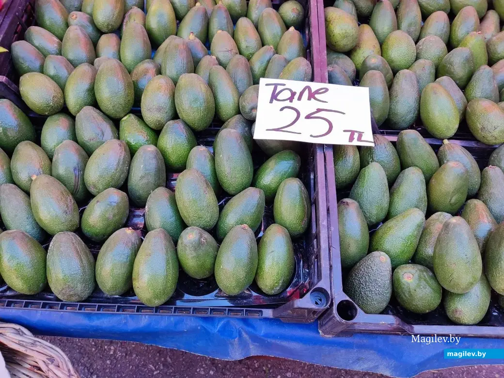 Октябрь 2025 г. Махмурлар, Турция