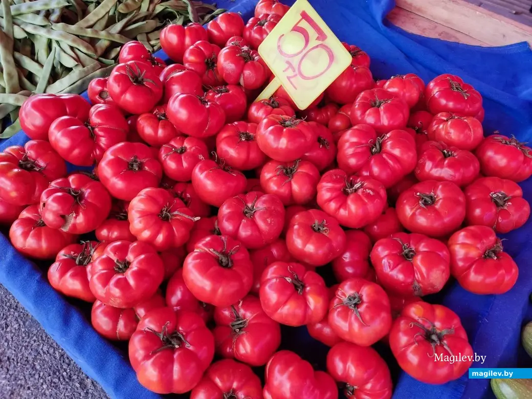 Октябрь 2025 г. Махмурлар, Турция