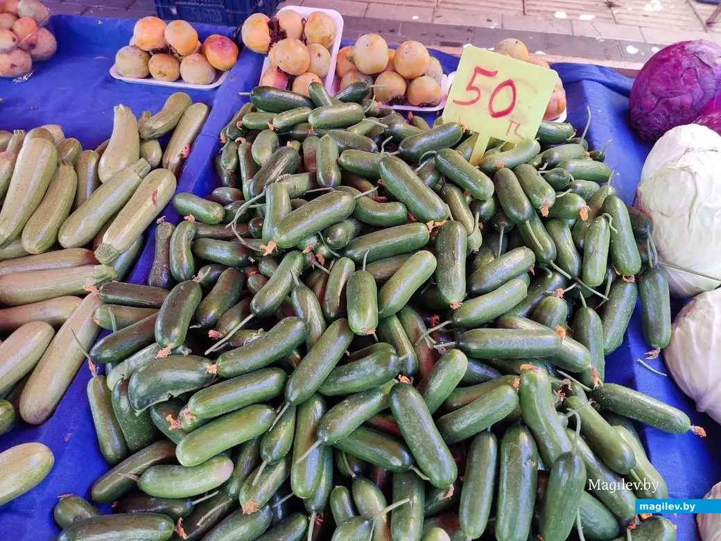 Октябрь 2025 г. Махмурлар, Турция. Огурчики на наши совсем не похожи