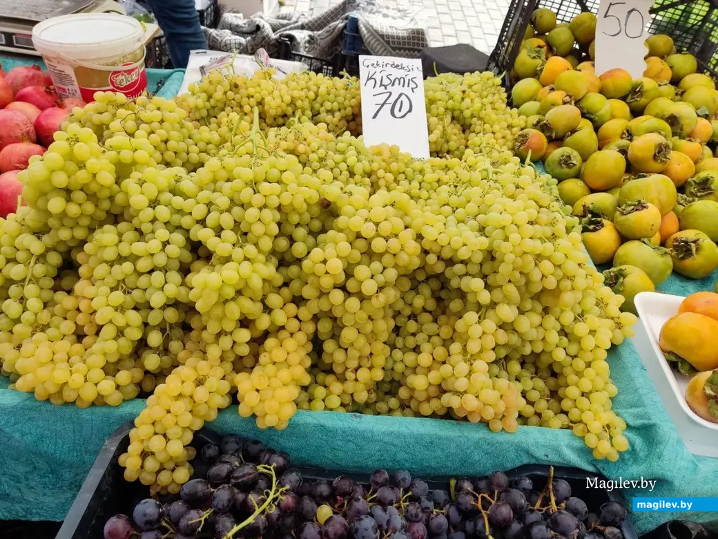 Октябрь 2025 г. Махмурлар, Турция