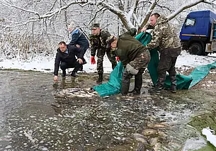 Зарыбление водоемов проводят в Могилевской области. Фотофакт