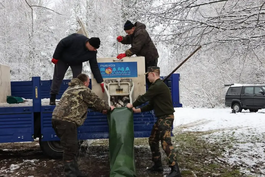 Зарыбление водоемов Могилевской области. Фото ТК Могилевприрода.