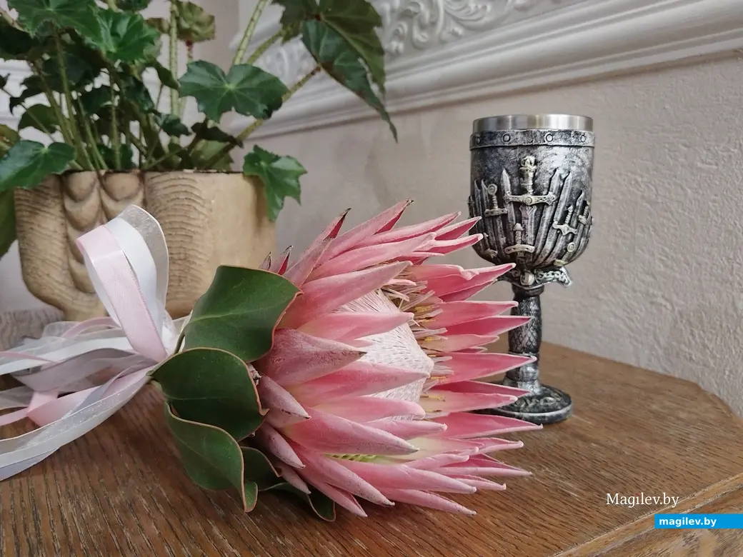 05.12.2025 г. Могилев. ЗАГС. Свадебная пара недели: Татьяна и Сергей Чернухо.