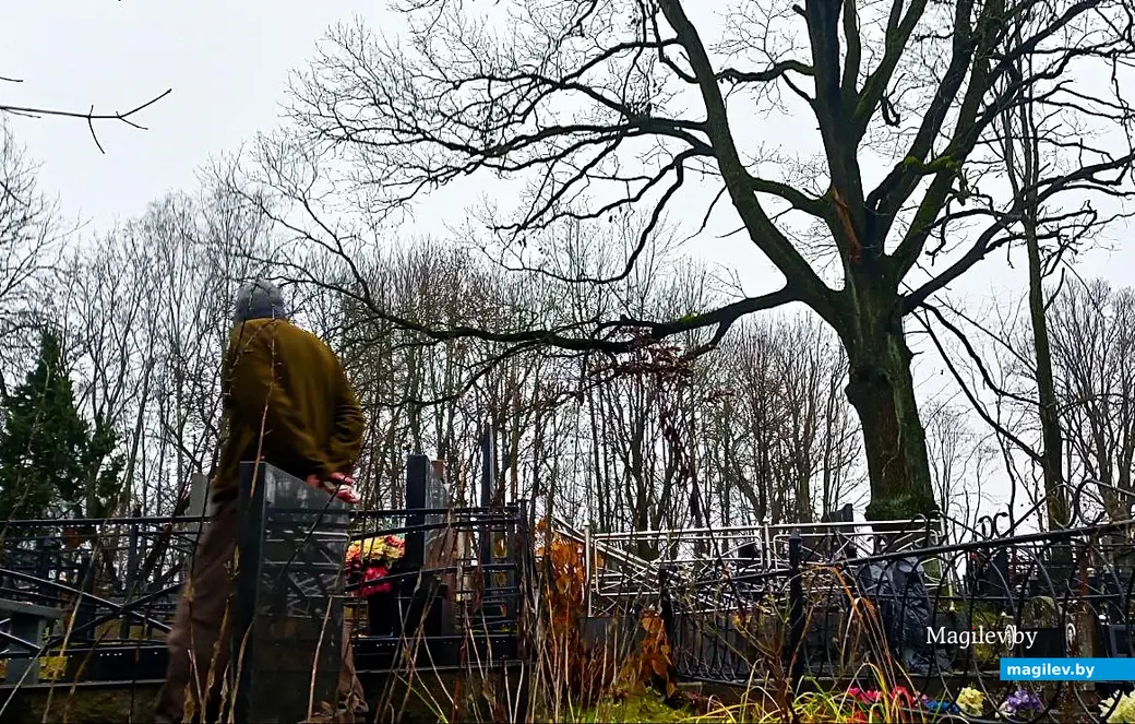 05.11.2025, Могилев, район микрорайона Юбилейный.