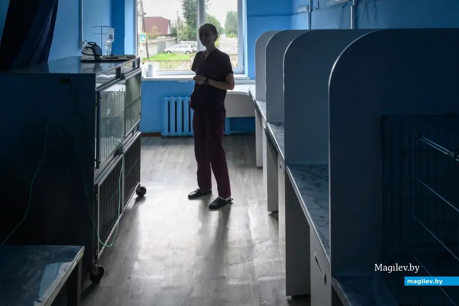 Если надо на несколько дней уехать – лучше сдайте питомца в спецгостиницу. Фото из архива редакции.