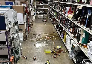 Пьяный енот разгромил алкогольный магазин в США