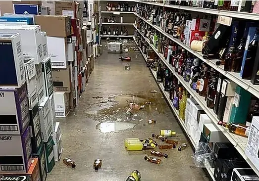 Пьяный енот разгромил алкогольный магазин в США