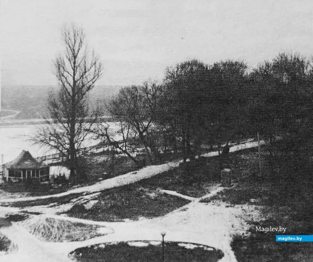 2000-е годы, Могилев. Дерево Джона Леннона на Дубровенке.