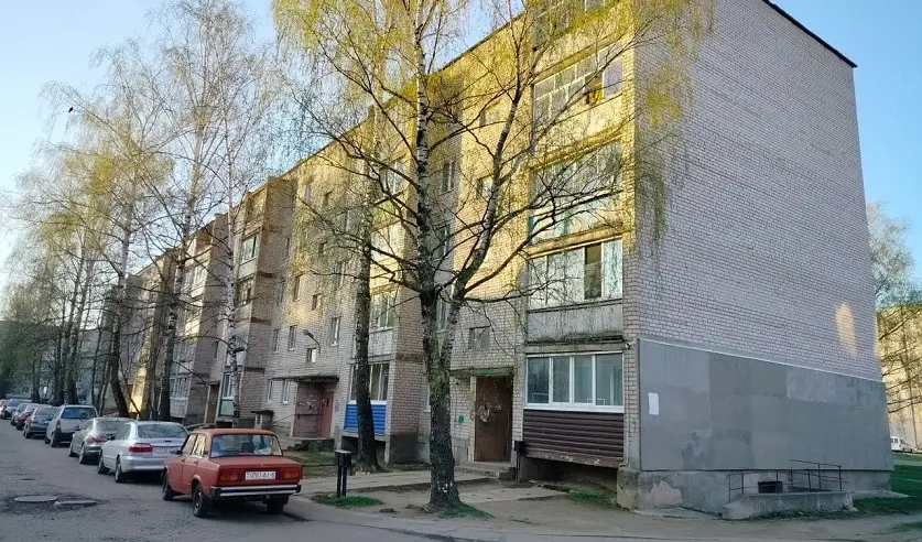 Фото: УГКСЭ по Могилевской области