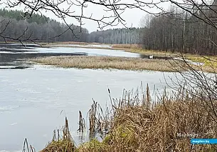 Дождь со снегом, гололед: какой будет погода в Могилеве во вторник, 9 декабря
