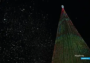 Огни на главной елке в Могилеве зажгут на молодежном шоу 15 декабря