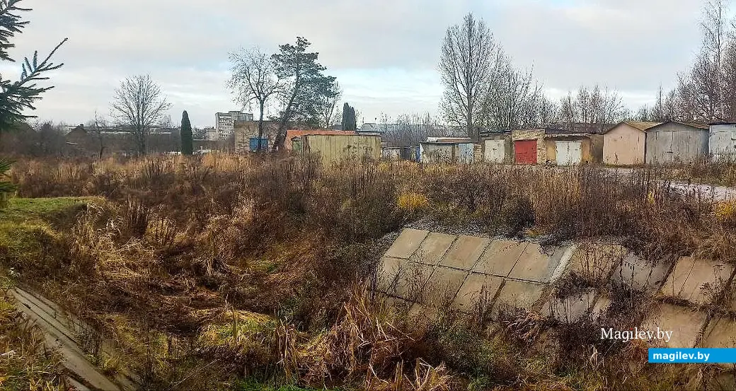 10.12.2025, Могилев, микрорайон Казимировка. Речушка Приснянка.