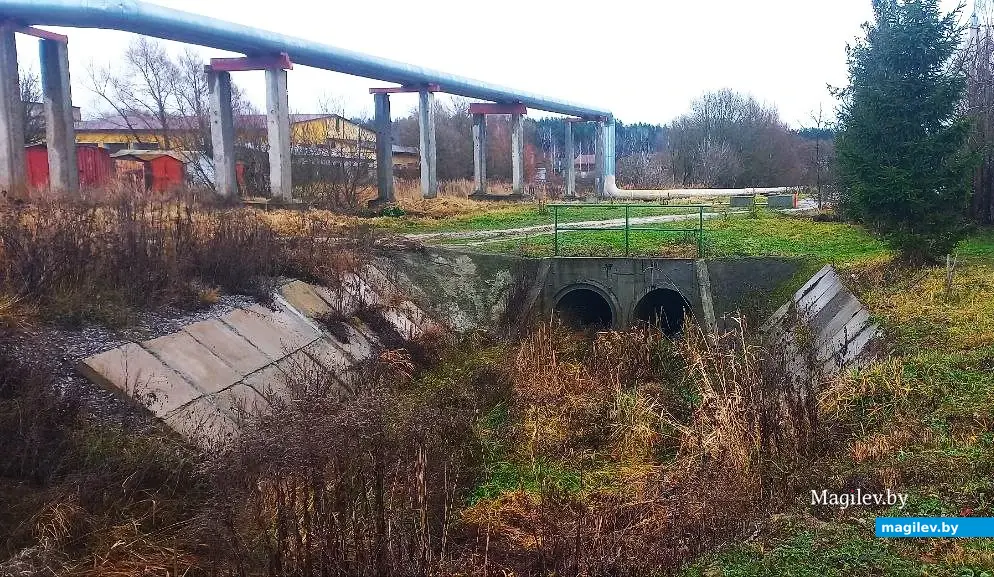 10.12.2025, Могилев, микрорайон Казимировка. Речушка Приснянка.