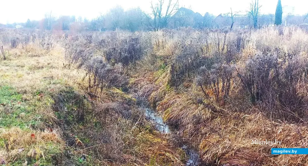 10.12.2025, Могилев, микрорайон Казимировка. Речушка Приснянка.