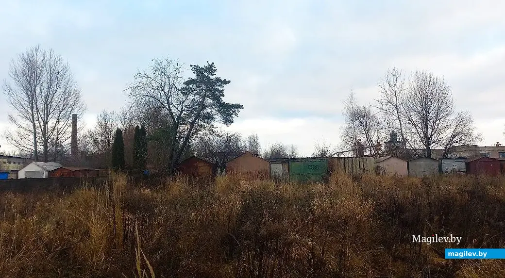 10.12.2025, Могилев, микрорайон Казимировка. Речушка Приснянка.