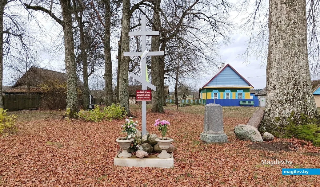 Ноябрь 2025 г. Деревня Ольница Глусского района. Место, где когда-то стояла сельская церковь.