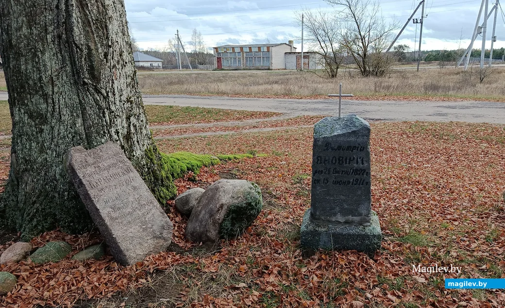 Ноябрь 2025 г. Деревня Ольница Глусского района. Памятники с захоронений священников и их