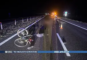 На трассе М-5 в Жлобинском районе под колесами грузовика погиб велосипедист