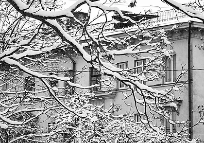Снег, гололедица: какой будет погода в Могилеве в воскресенье, 12 декабря