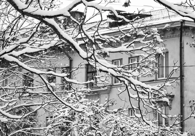 Снег, гололедица: какой будет погода в Могилеве в воскресенье, 12 декабря