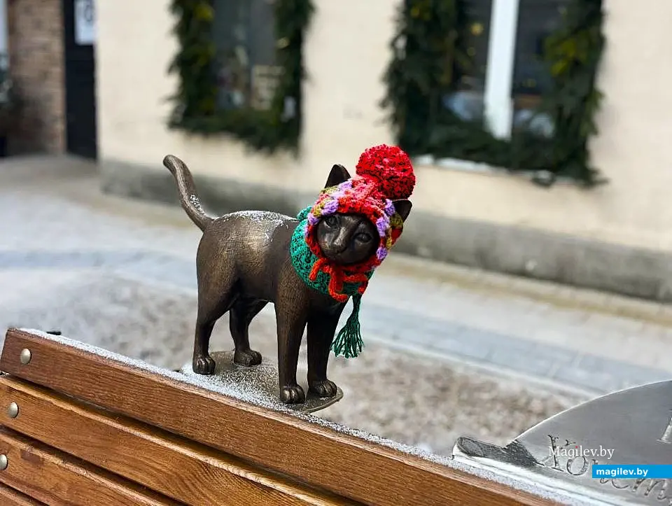 14.12.2025. Могилев, дворик в Пожарном переулке. Кот Котофеевич.