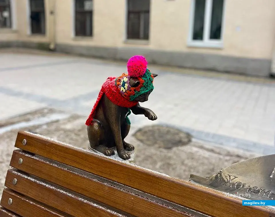 14.12.2025. Могилев, дворик в Пожарном переулке. Кот Матроскин.