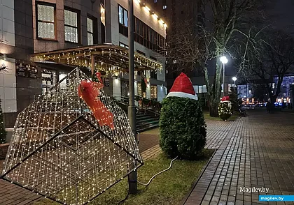 Временами дождь и до +3°С: какой будет погода в Могилеве в понедельник, 15 декабря