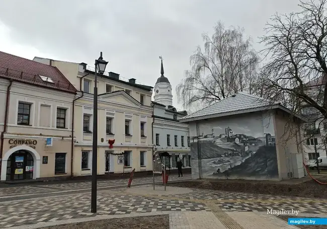 Местами туман, дожди маловероятны: какой будет погода в Могилеве во вторник, 16 декабря