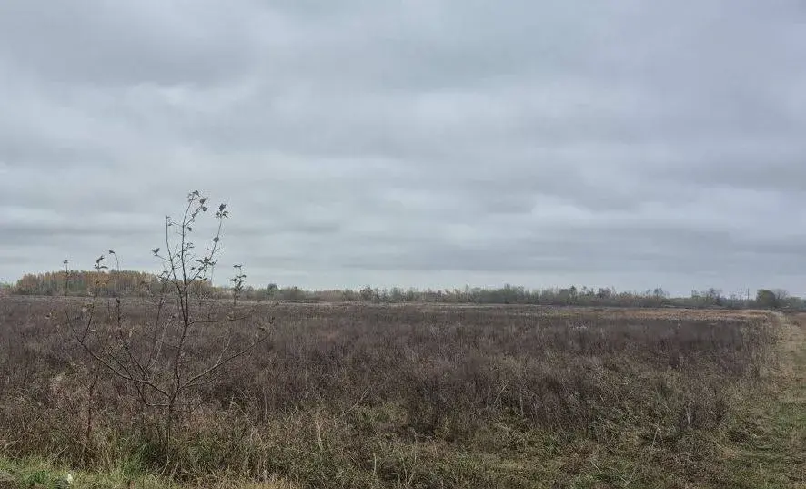 Фото: прокуратура Мооилевского района