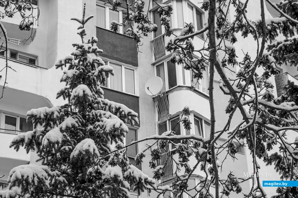 24.11.2025. Бобруйск. Фото: Александр ЧУГУЕВ.