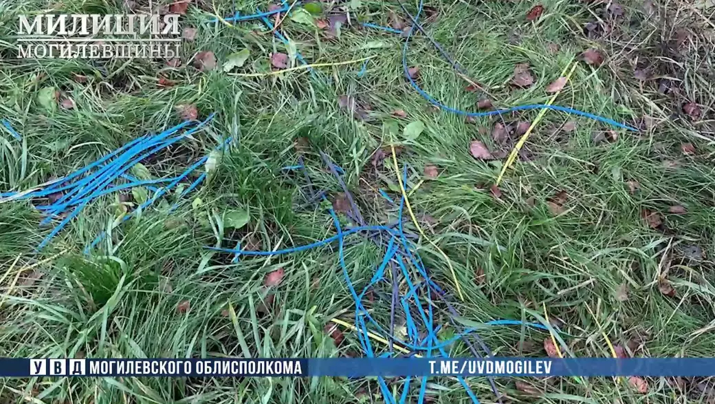 Фото: УВД Могилевского облисполкома