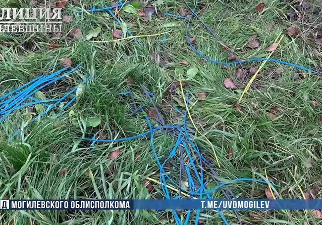 В Могилевском районе местный житель украл медный кабель почти на 3 тысячи рублей