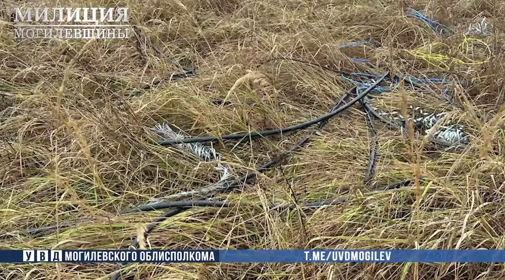 Фото: УВД Могилевского облисполкома